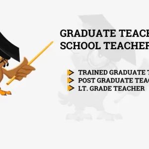Graduate teacher/school teacher course